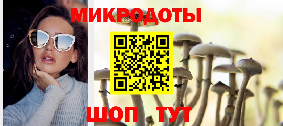 Галлюциногенные грибы мухоморы Богородицк