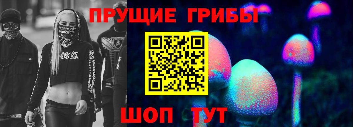 Богородицк  Псилоцибиновые грибы Psilocybine cubensis  Вход с VPN 